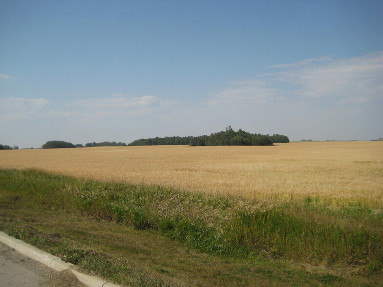 Hwy 2 A, Carstairs, AB à vendre - Photo du b timent - Image 2 de 2