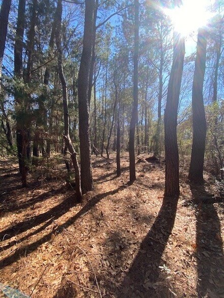 0 River Rd, Johns Island, SC for sale - Primary Photo - Image 2 of 8