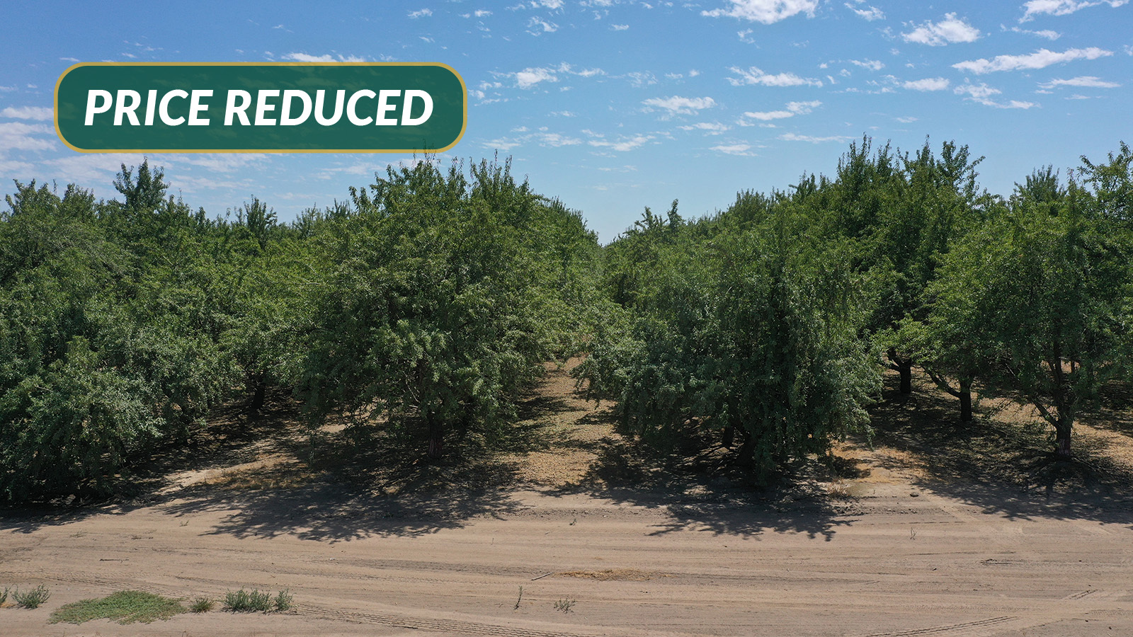 NEC of Ave. 23 1/2 & Rd. 7, Chowchilla, CA for sale Building Photo- Image 1 of 5