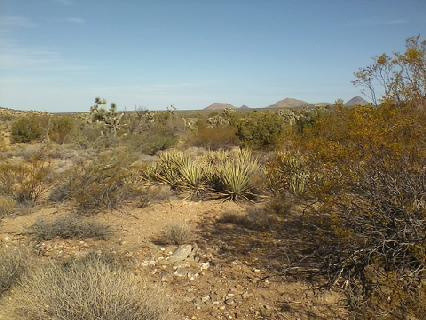 Lake Alamo Rd, Yucca, AZ for sale - Primary Photo - Image 1 of 1