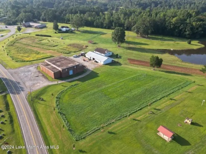 9140 & 9269 Highway 63 N, Alexander City, AL for sale - Aerial - Image 3 of 15