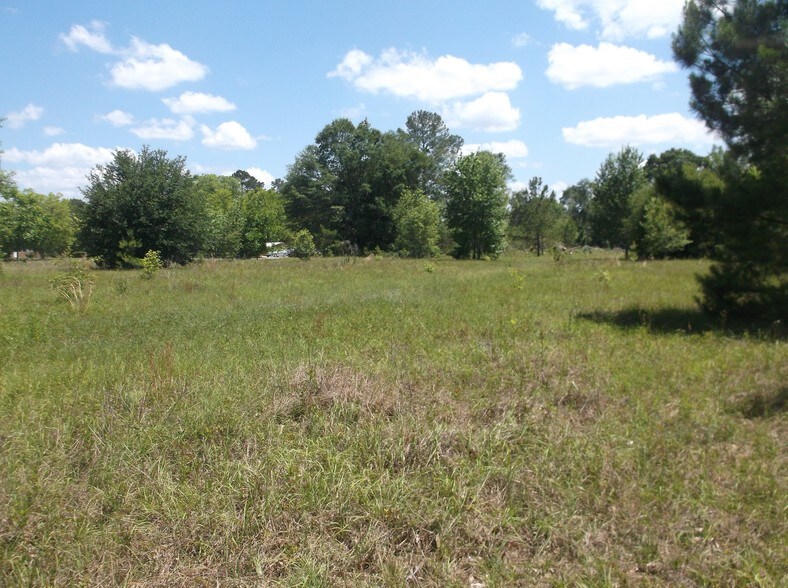 218-220 S Duval St, Claxton, GA à vendre - Photo du bâtiment - Image 2 de 6