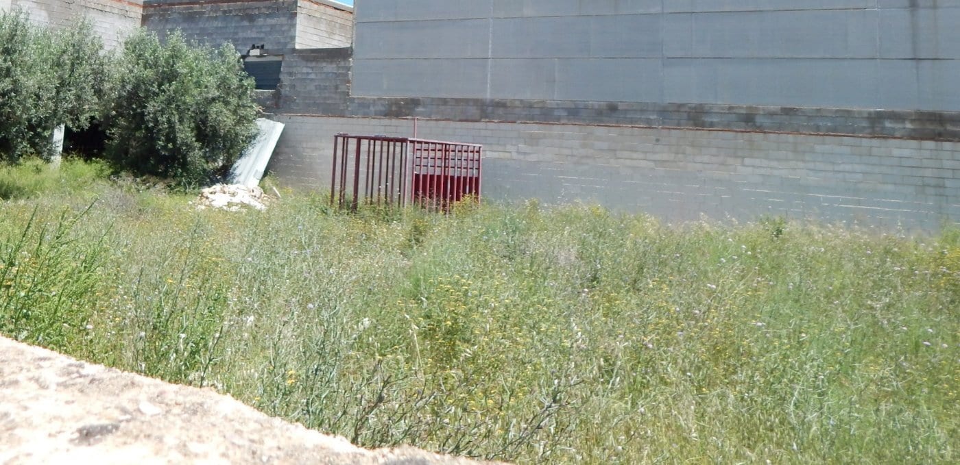 Land in València, Valencia for sale Primary Photo- Image 1 of 3