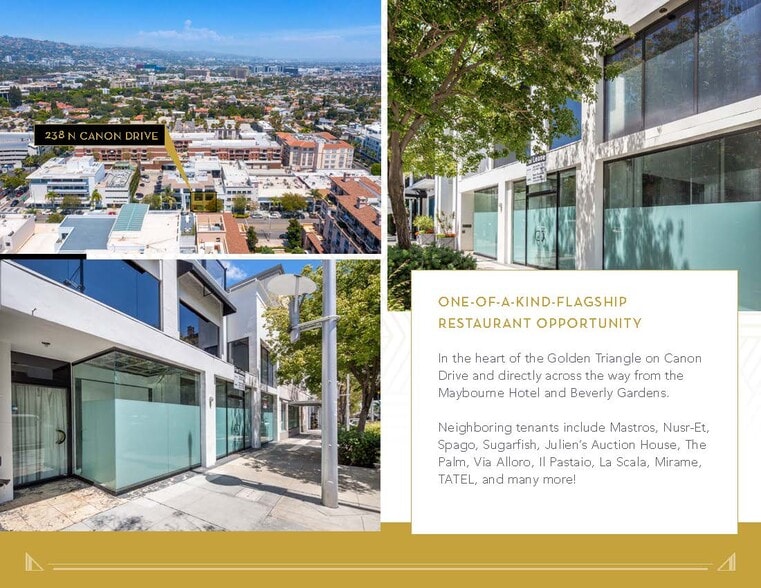 238 N Canon Dr, Beverly Hills, CA for lease - Building Photo - Image 3 of 17