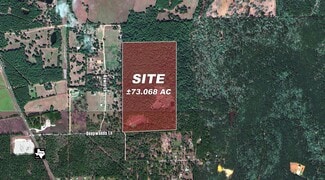 More details for 10771 County Road 351, Plantersville, TX - Land for Sale