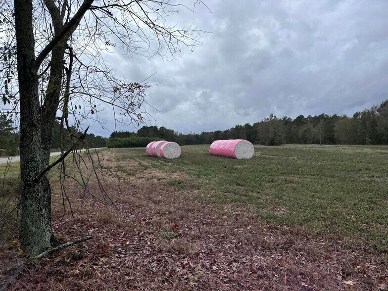0 Good Farm Rd, Holly Hill, SC à vendre - Photo du bâtiment - Image 2 de 3