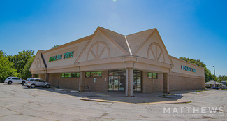 More details for 3100 11th St, Rock Island, IL - Retail for Sale