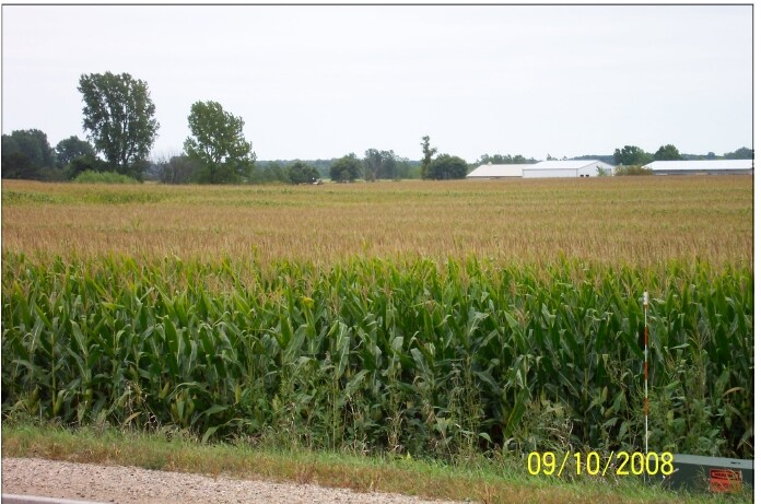 Plaza Street Site, Albert Lea, MN à vendre - Autre - Image 3 de 6