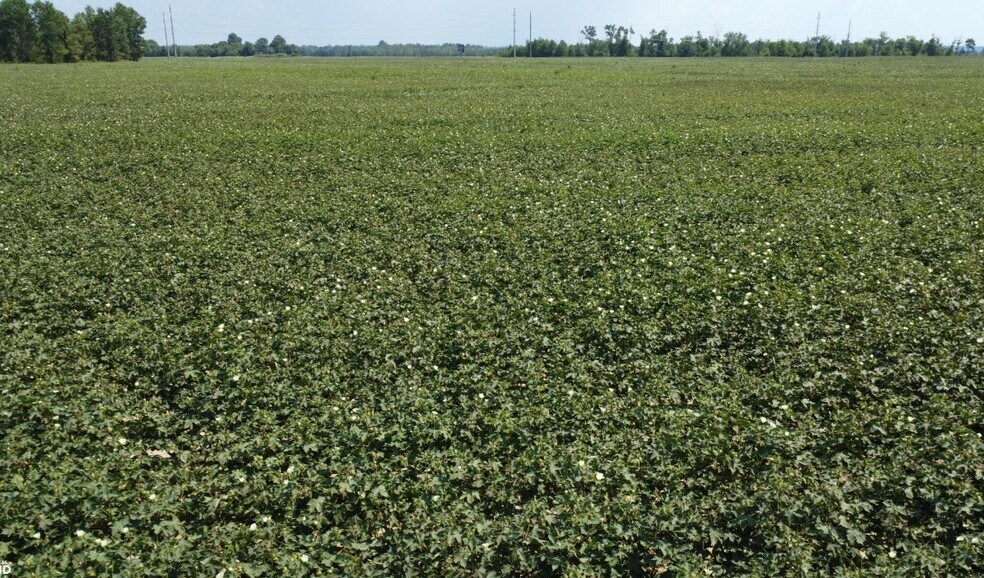 0 HWY 61, Walls, MS à vendre - Autre - Image 2 de 20