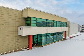 Plus de détails pour 3805 Rue Dollard-Desjardins, Montréal, QC - Industriel à vendre