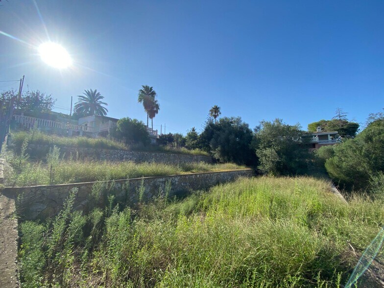 Land in Alzira, Valencia for sale - Primary Photo - Image 2 of 8