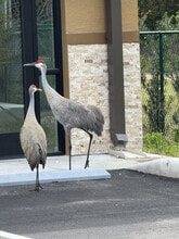 1059 Duck Box, Umatilla, FL for lease Interior Photo- Image 1 of 8