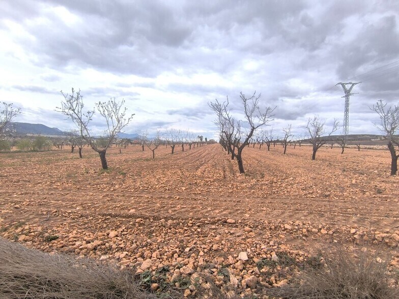 Plaza Pedáneo Ricardo Yáñez, Yecla, Murcia à vendre - Photo du bâtiment - Image 2 de 3