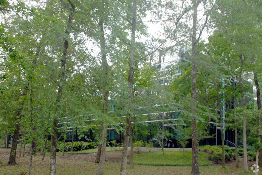 2201 Lake Woodlands Dr, Spring, TX à louer - Photo du bâtiment - Image 2 de 5