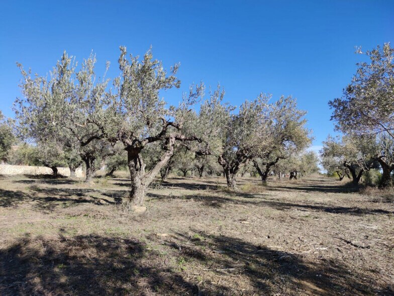 Land in Ontinyent, Valencia for sale - Primary Photo - Image 2 of 13