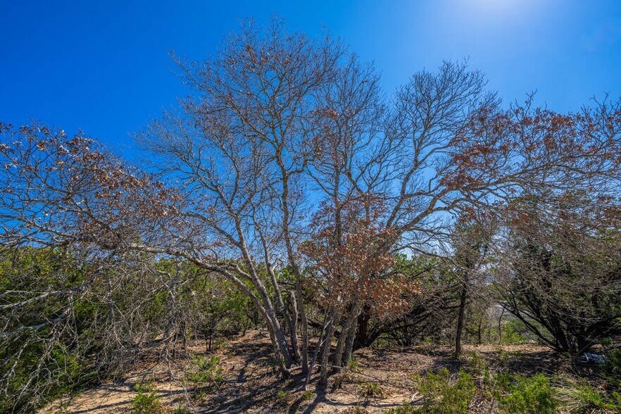 0000 Holdsworth Drive, Kerrville, TX à vendre - Photo du bâtiment - Image 3 de 14