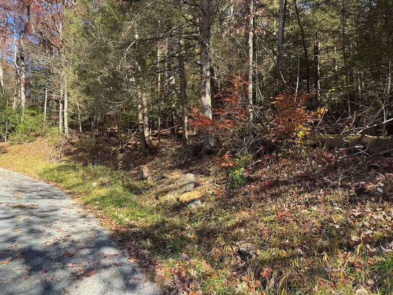 58 Martin Ln, Nallen, WV for sale - Building Photo - Image 3 of 7