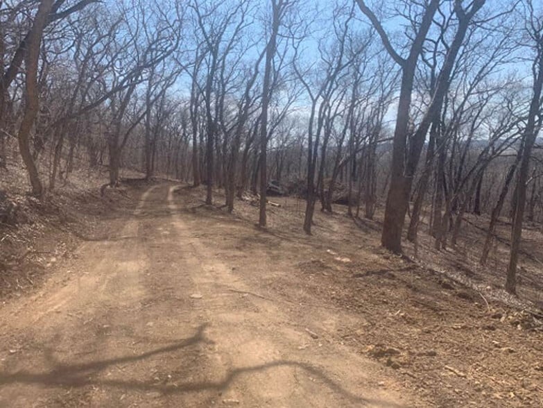 Holt 340, Oregon, MO à vendre - Photo du bâtiment - Image 3 de 12