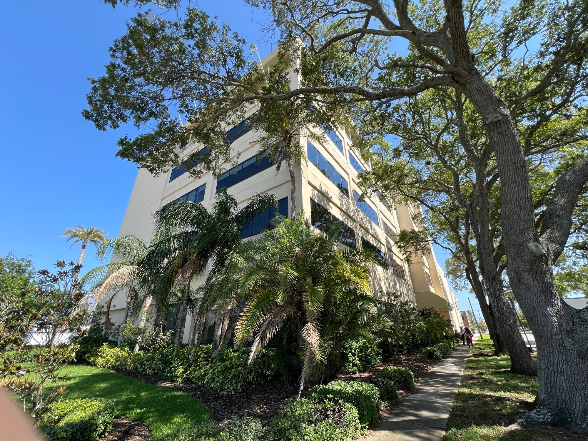 1255 Cleveland St, Clearwater, FL for lease Primary Photo- Image 1 of 17