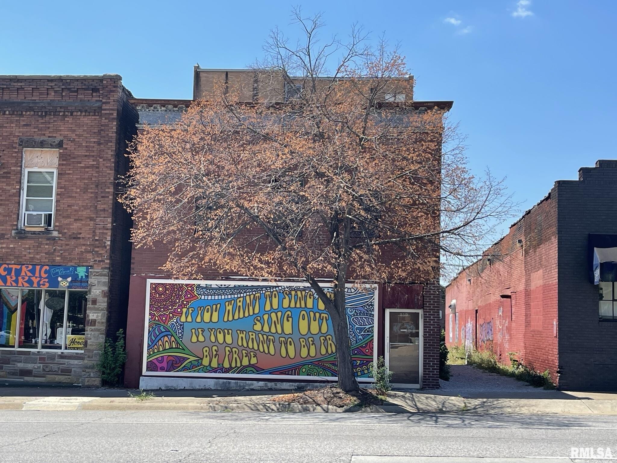 219 W Main St, Carbondale, IL for sale Primary Photo- Image 1 of 1