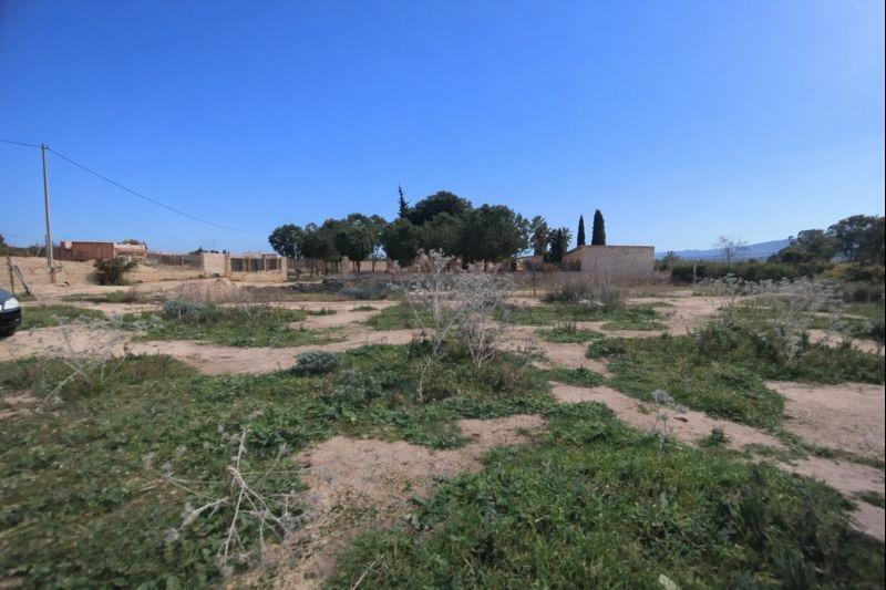 Paraje, 831, Librilla, Murcia à vendre - Plan de site - Image 1 de 16
