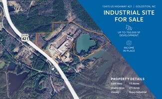 Plus de détails pour 13415 US Highway 421, Goldston, NC - Industriel à vendre