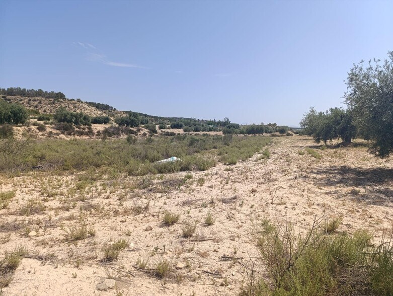 Terrain dans Albudeite, Murcia à vendre - Plan de site - Image 2 de 3