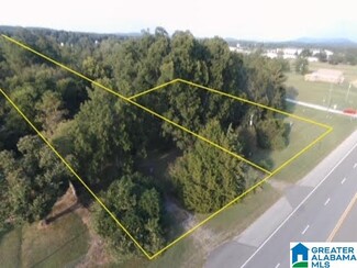 Plus de détails pour 4715 Speedway Blvd, Lincoln, AL - Terrain à vendre