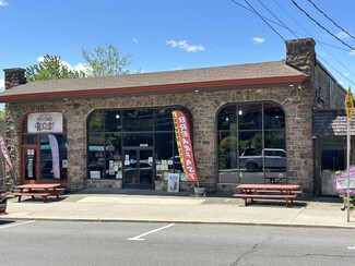 More details for 1428 Pocono Blvd, Mount Pocono, PA - Retail for Sale