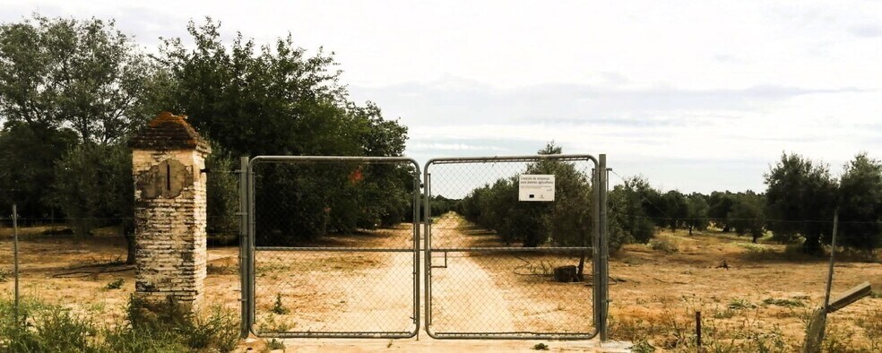 Polígono Ue, 11 Parcela 69, Villamanrique de la Condesa, Sevilla à vendre - Photo du bâtiment - Image 3 de 37