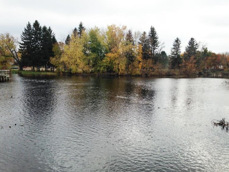 Hall St, Eaton Rapids, MI for sale - Other - Image 3 of 3