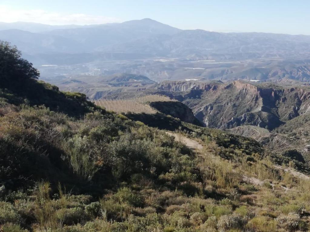 Land in Monachil, Granada for sale Aerial- Image 1 of 5