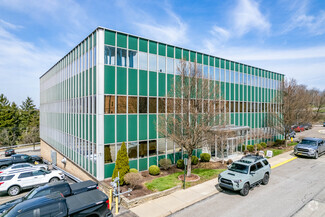 More details for 100 Fleet St, Pittsburgh, PA - Office, Office/Medical for Lease