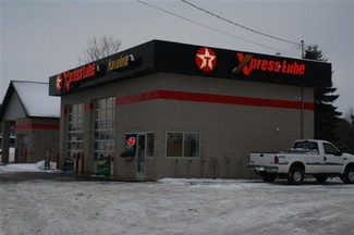 Plus de détails pour 2840 Benzie Hwy, Benzonia, MI - Vente au détail à vendre