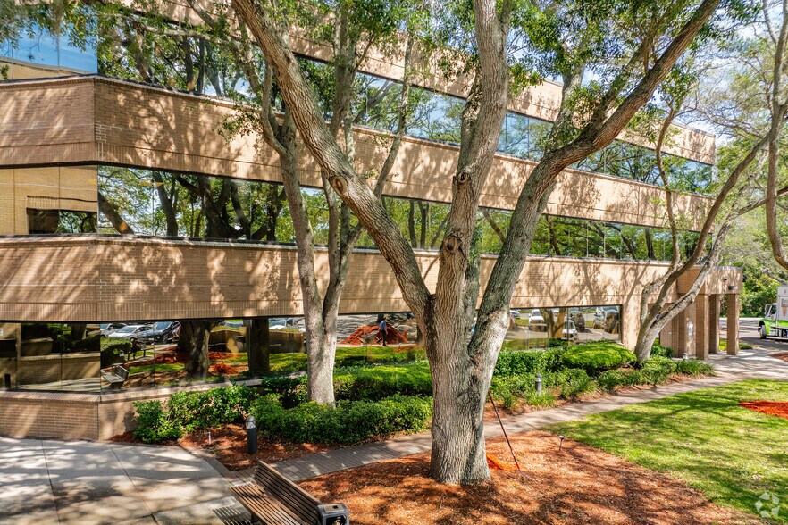 33920 N US Hwy 19, Palm Harbor, FL à louer - Photo du bâtiment - Image 2 de 7