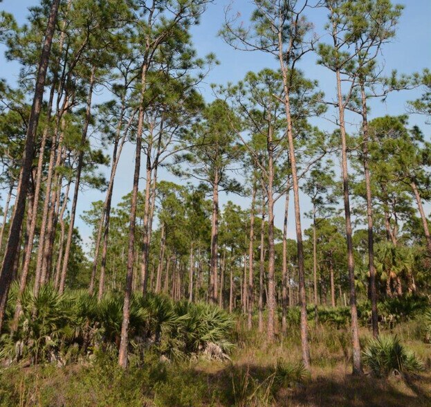 8425 SW Martin Hwy, Palm City, FL for sale - Other - Image 3 of 19