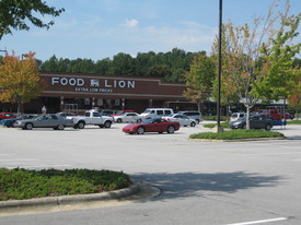 Swift Creek Shopping Center - Loft