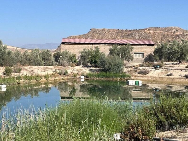 Terrain dans La Malahá, Granada à vendre - Photo du bâtiment - Image 2 de 36