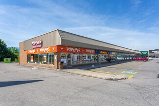 Plus de détails pour 480 Hespeler Rd, Cambridge, ON - Commerce de détail à louer