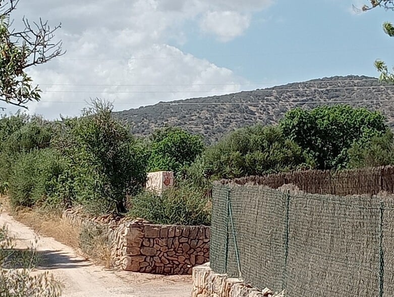 Land in Santanyí, Islas Baleares for sale - Building Photo - Image 3 of 15