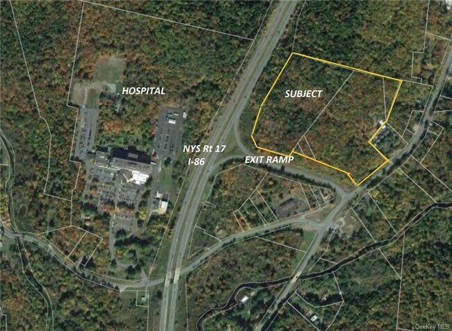 Plus de détails pour Old Route 17, Harris, NY - Terrain à vendre
