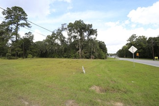 More details for 301 S Coastal Hwy, Midway, GA - Land for Sale
