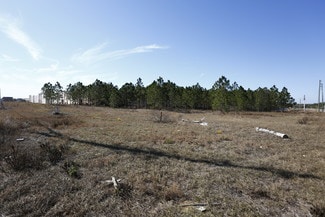 Plus de détails pour US Highway 27 & Deen Still Rd N, Davenport, FL - Terrain à vendre