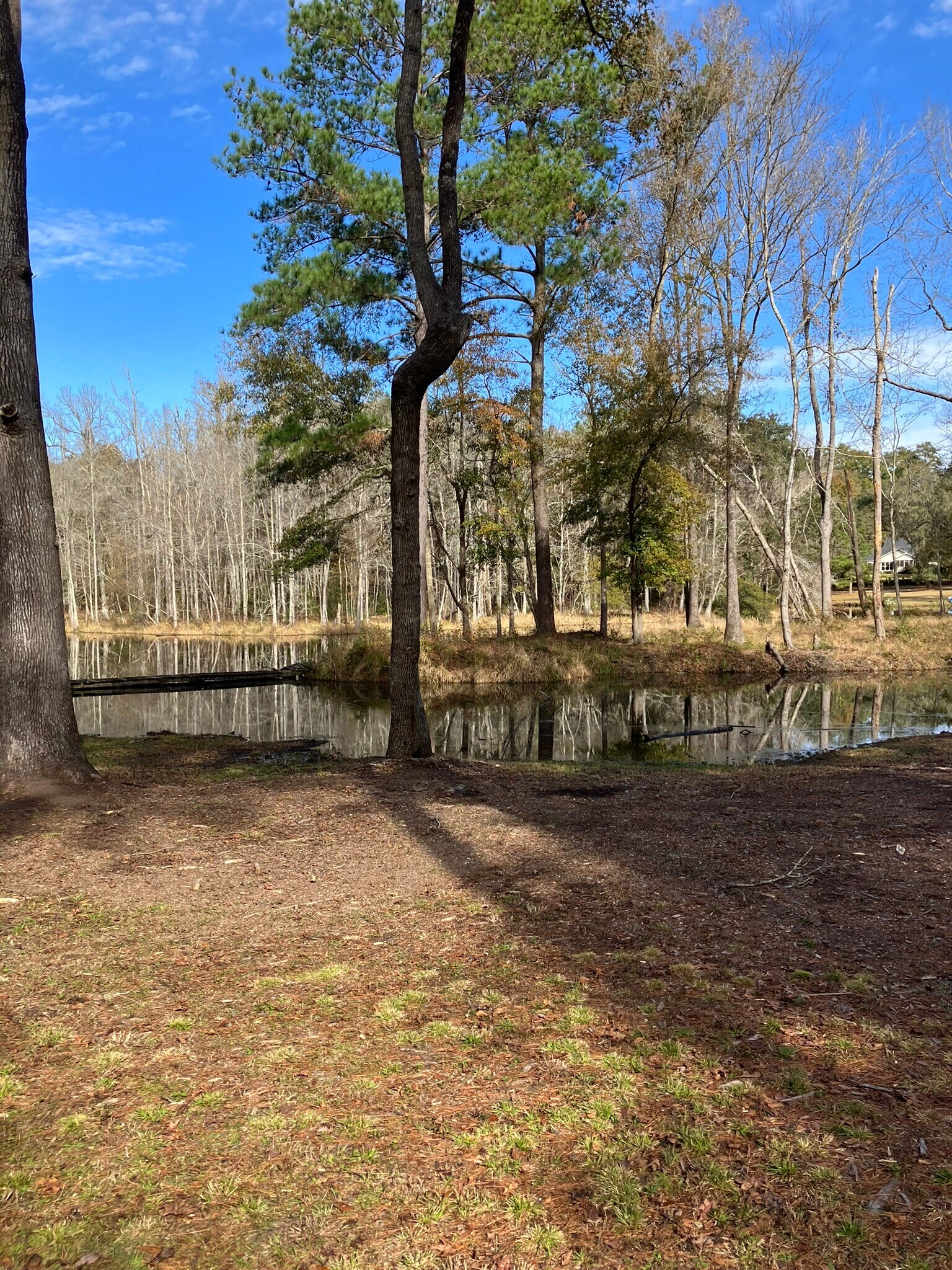 2 Pond ln, Tallahassee, FL for sale Primary Photo- Image 1 of 11