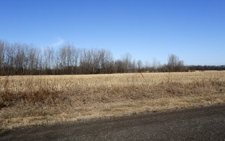 Plus de détails pour Forest Rd N, Forest Lake, MN - Terrain à vendre