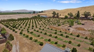 Plus de détails pour 31946 Road 168, Visalia, CA - Terrain à vendre