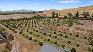 Plus de détails pour 31946 Road 168, Visalia, CA - Terrain à vendre