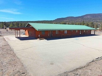 More details for 20 Lodge Dr, South Fork, CO - Office for Sale