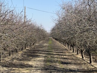 Plus de détails pour East Nebraska Avenue, Selma, CA - Terrain à vendre