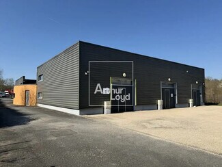Plus de détails pour Flex à vendre
